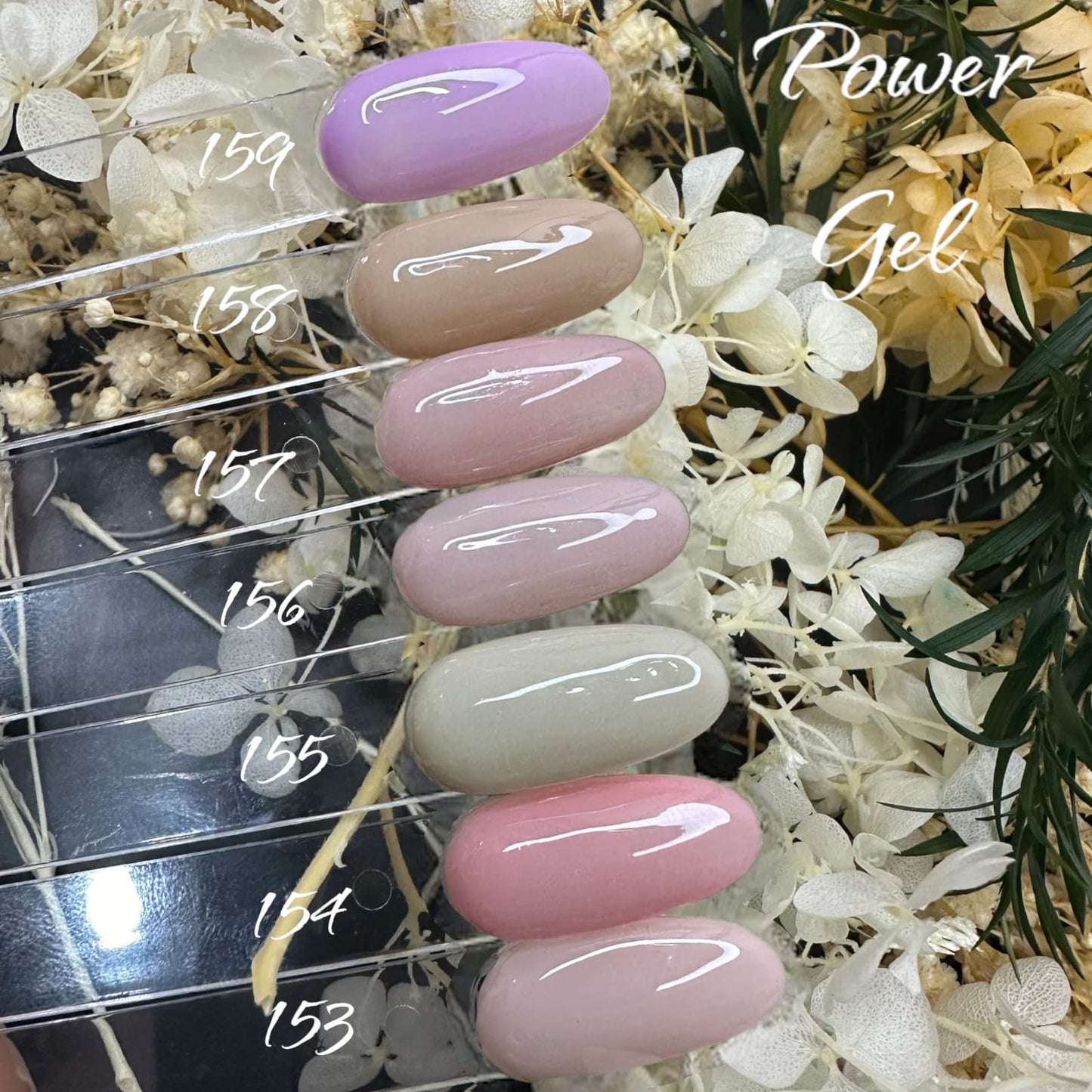 גווני פרנץ בסיס 153-159