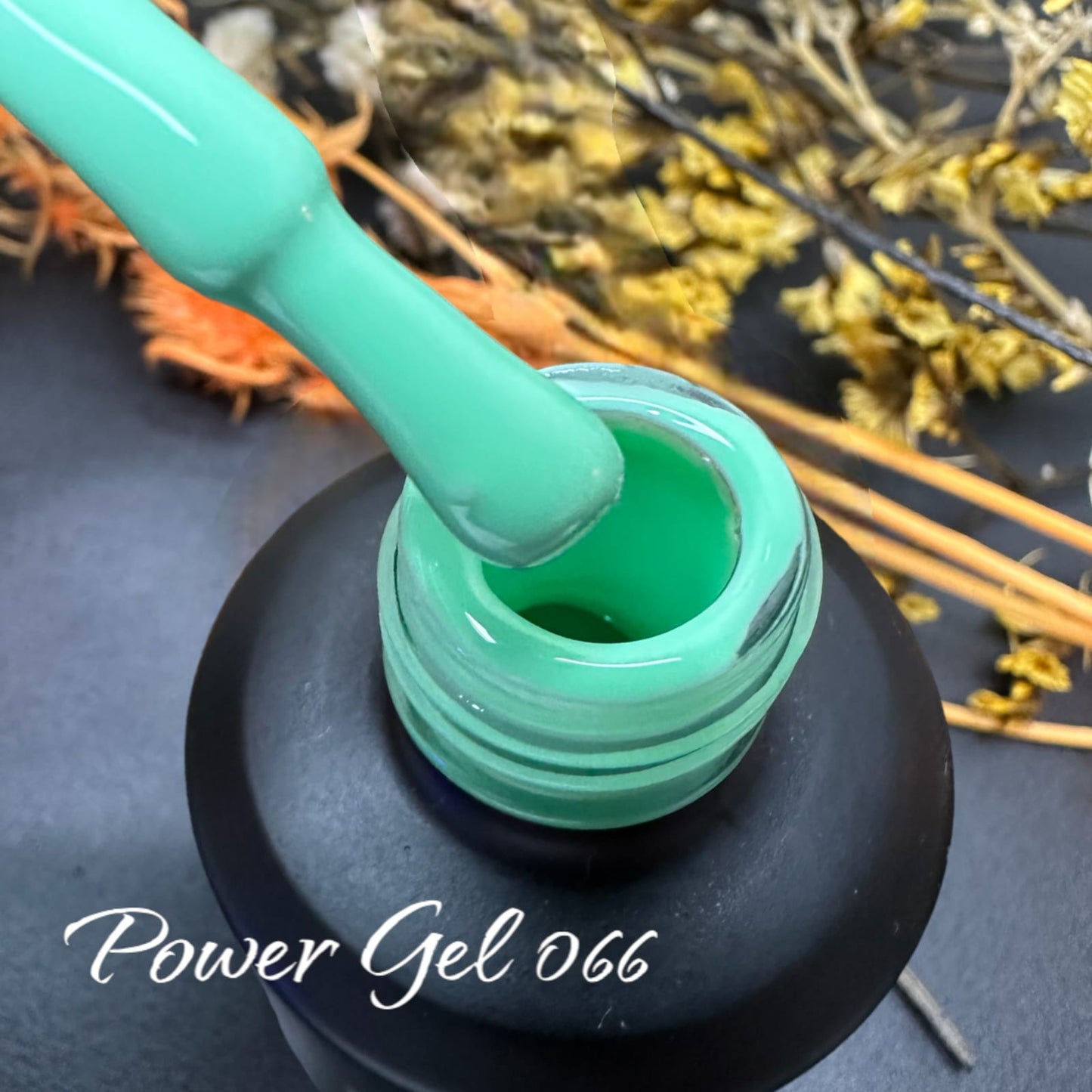 Power Gel 066